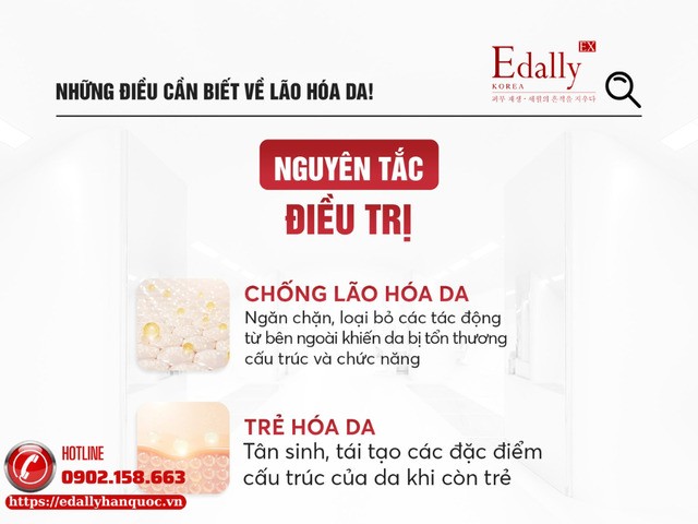 Nguyên tắc điều trị da đã lão hóa Nguyên tắc điều trị da đã lão hóa